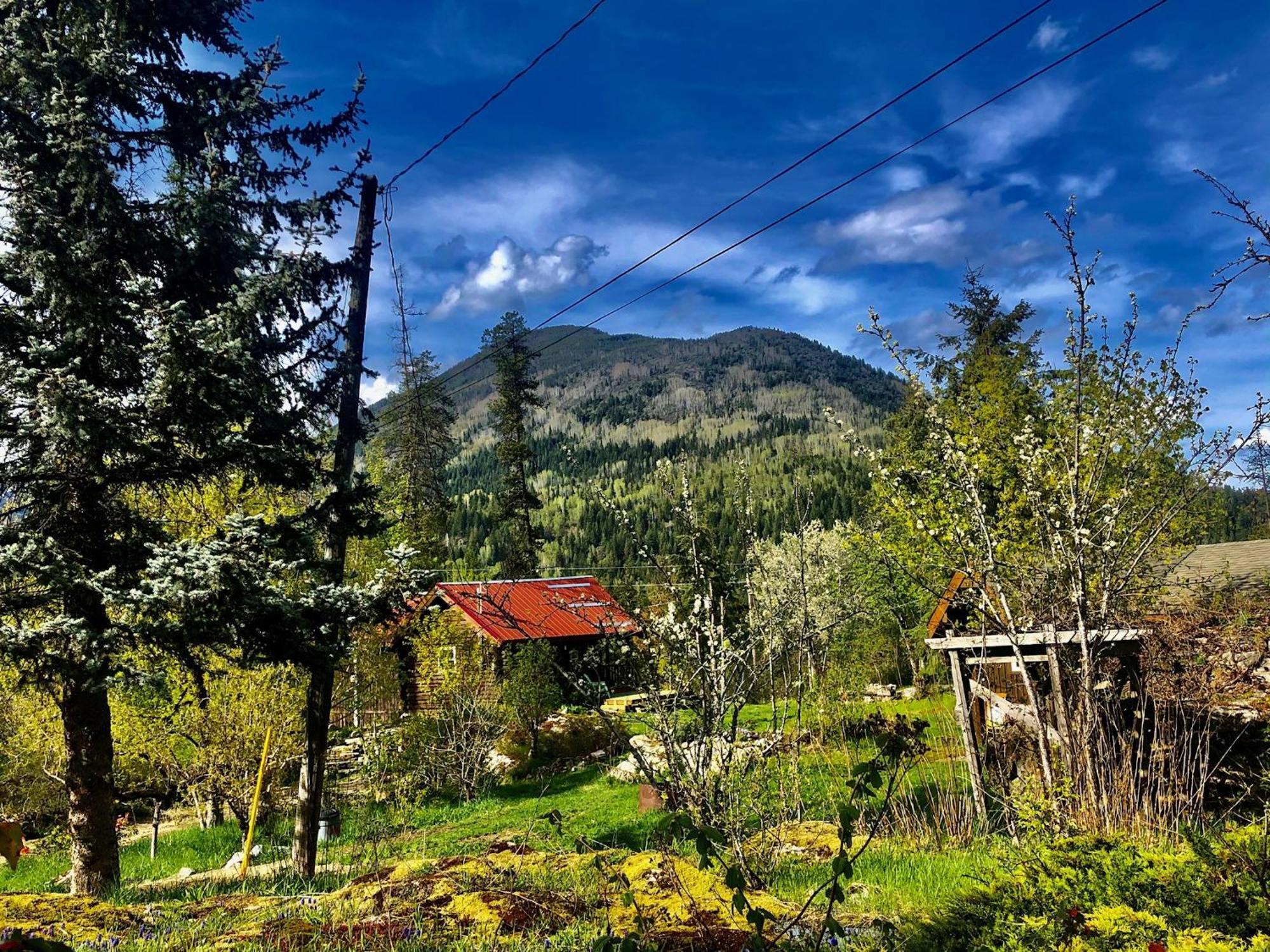 Morning Star Log Cabin Nelson Exterior foto