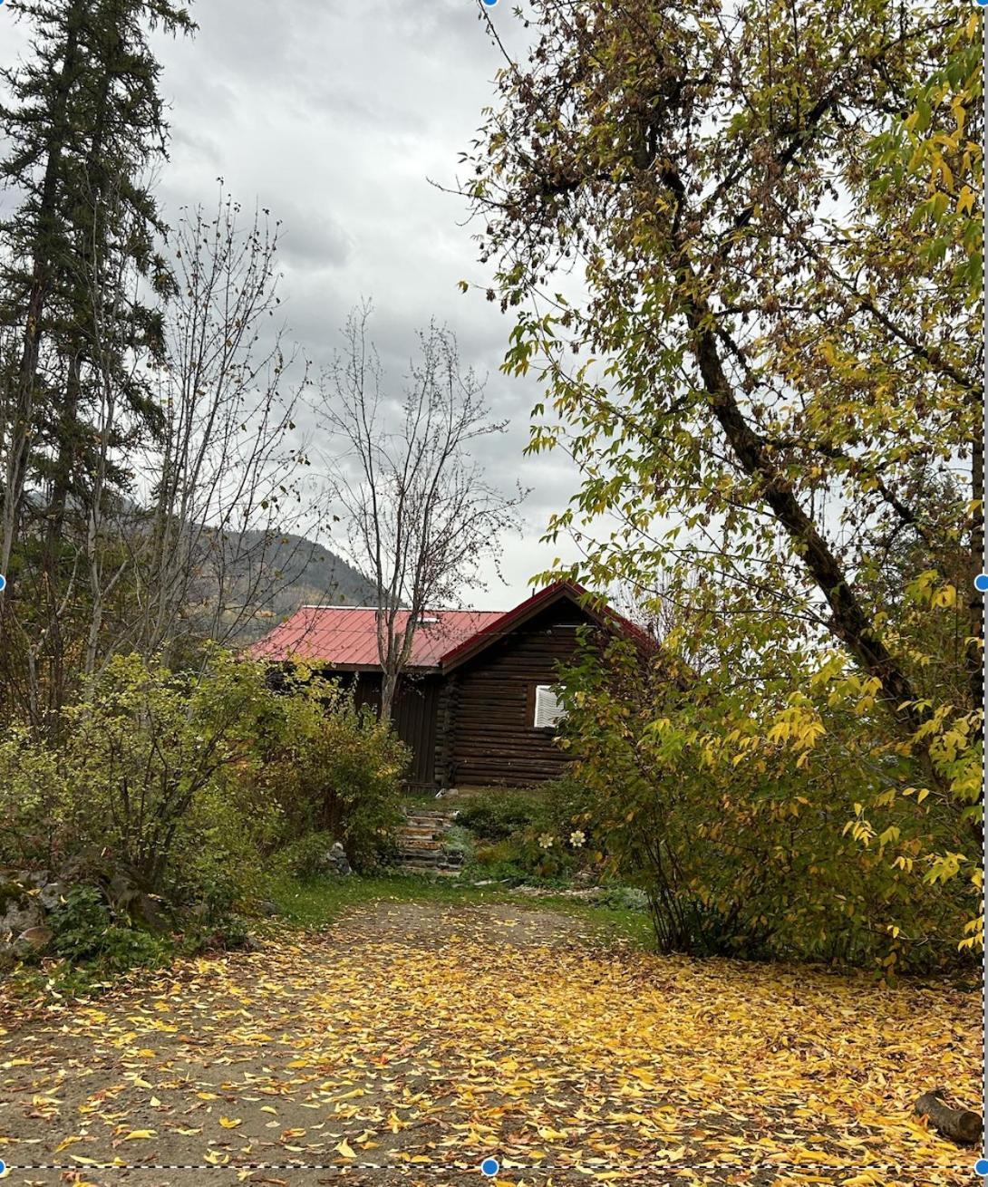 Morning Star Log Cabin Nelson Habitación foto