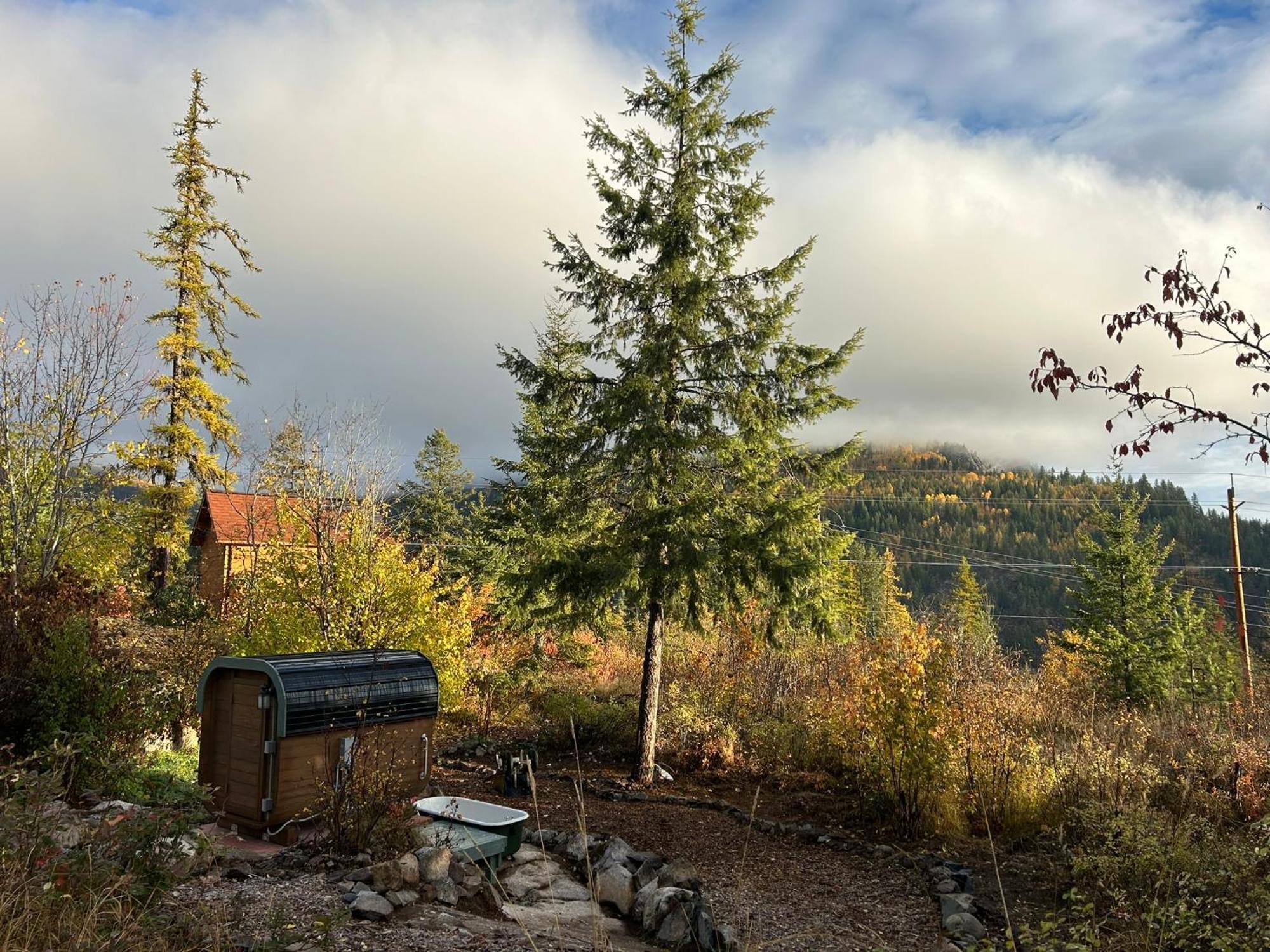 Morning Star Log Cabin Nelson Habitación foto